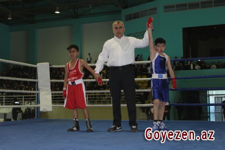 Qazaxda boks yarışına start verilib