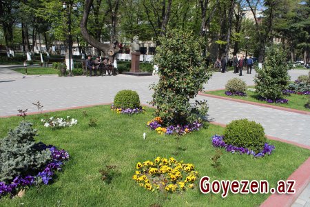 Fəxri qazaxlılar parkının yaz mənzərəsi